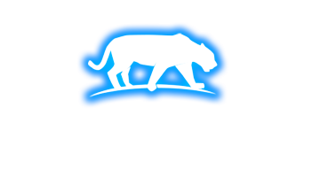 panther soft logo